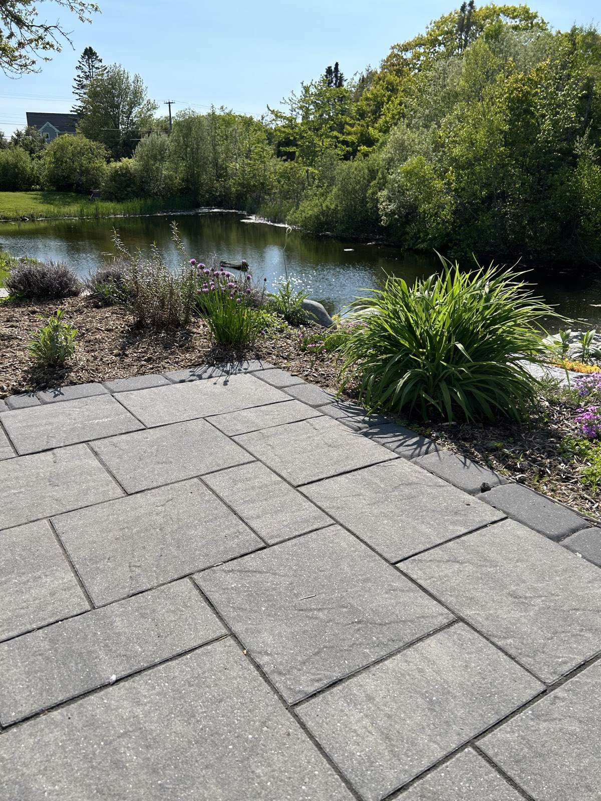 Patio and pond view