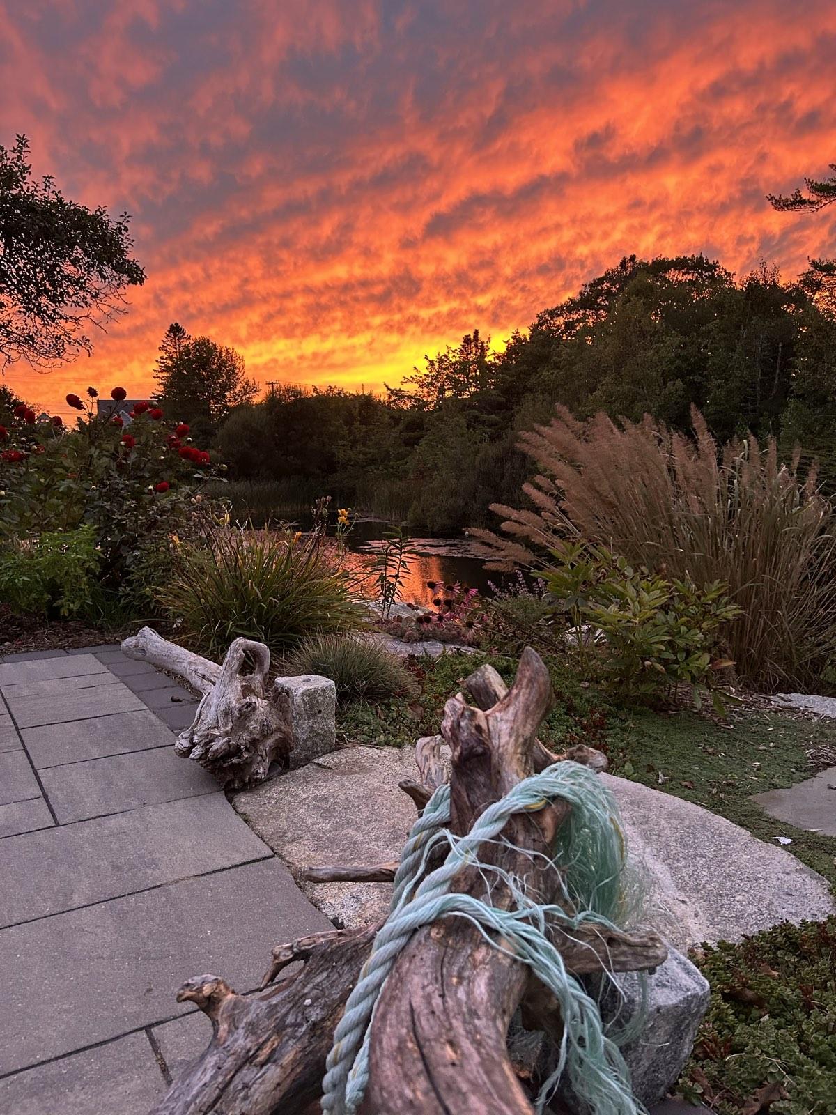 Sunset over garden and pond