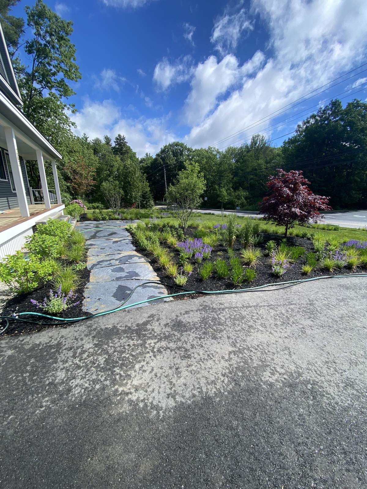 Perennial garden beds along a bluestone walk at a different property