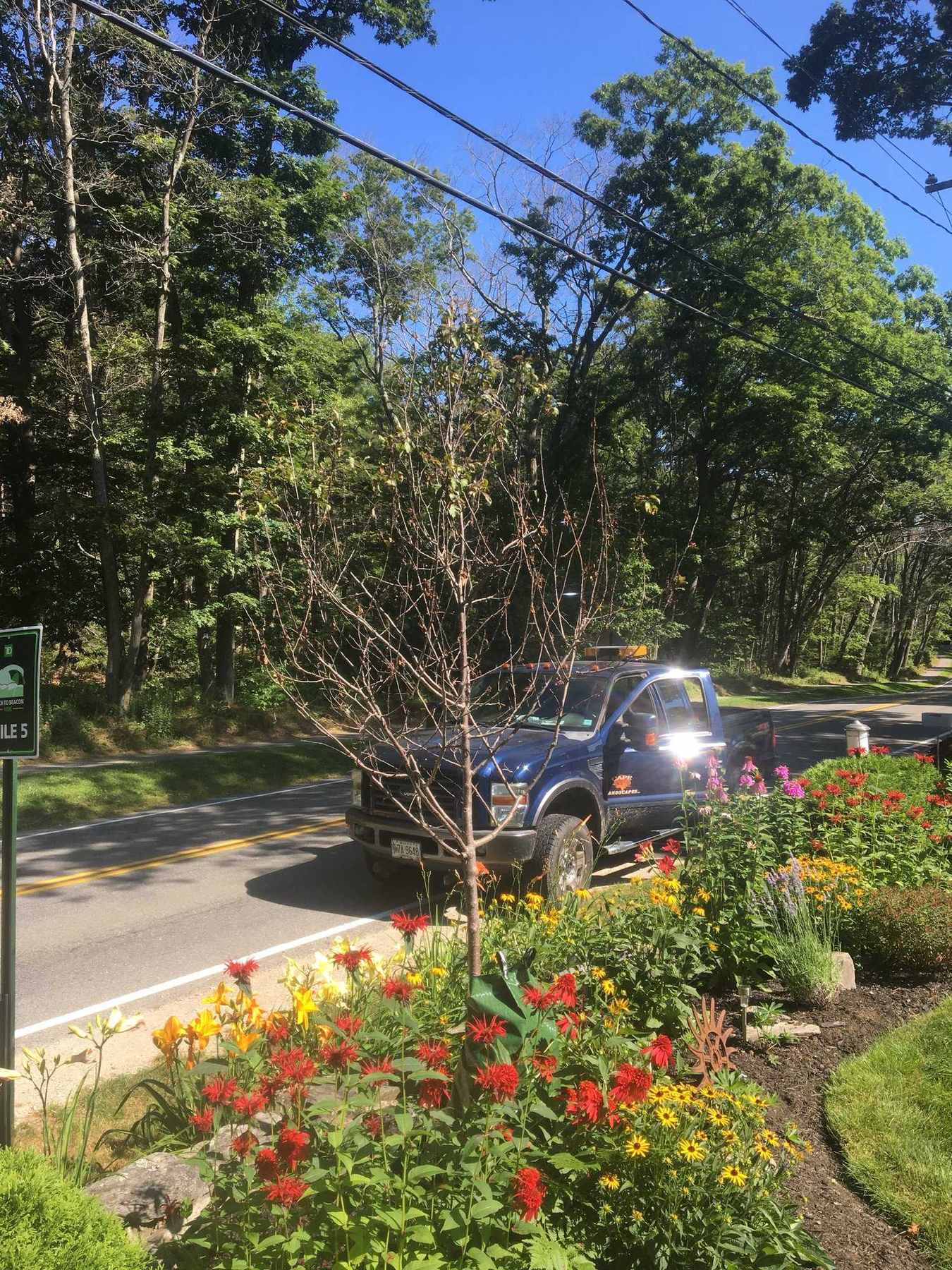 Garden delivery, plantings and truck