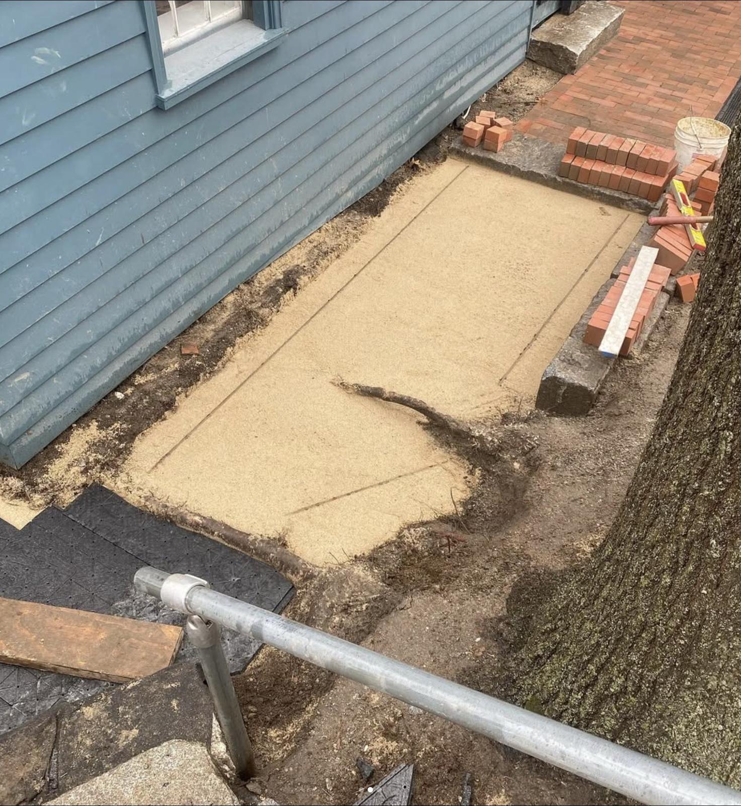 Sand base with the oak's roots left in place