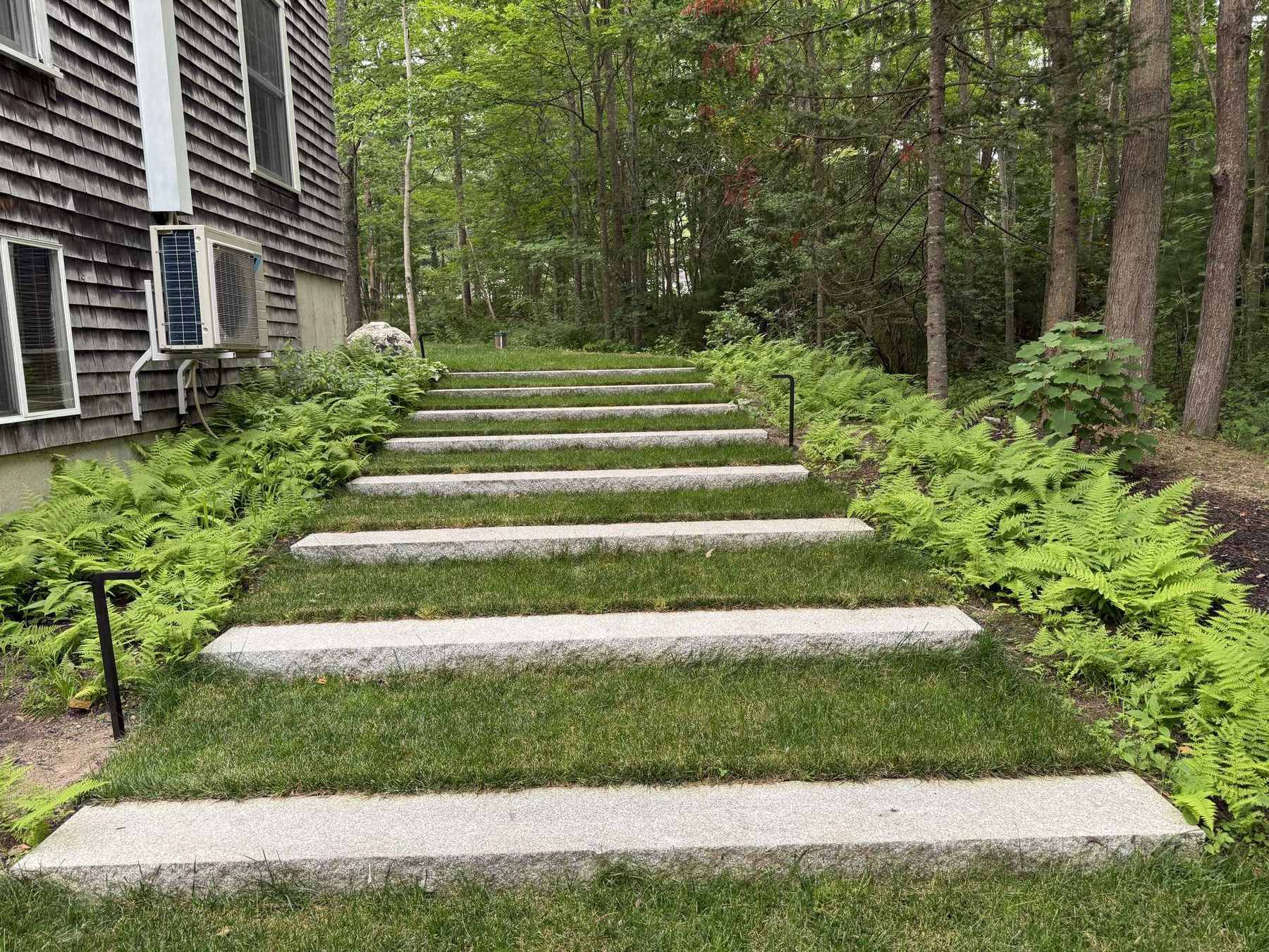 Granite stepping-stone steps through ferns