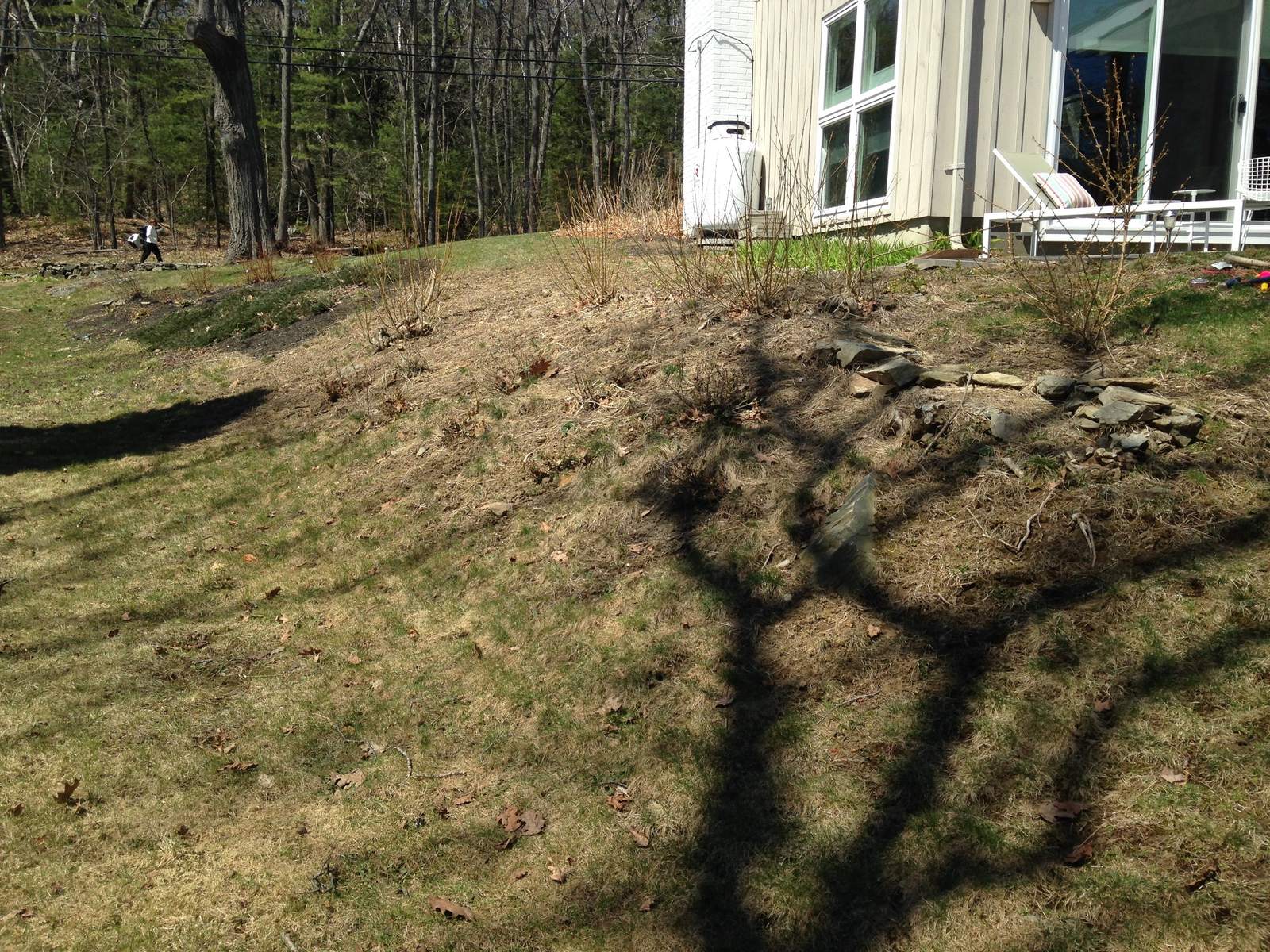 Sloped yard behind the house before construction