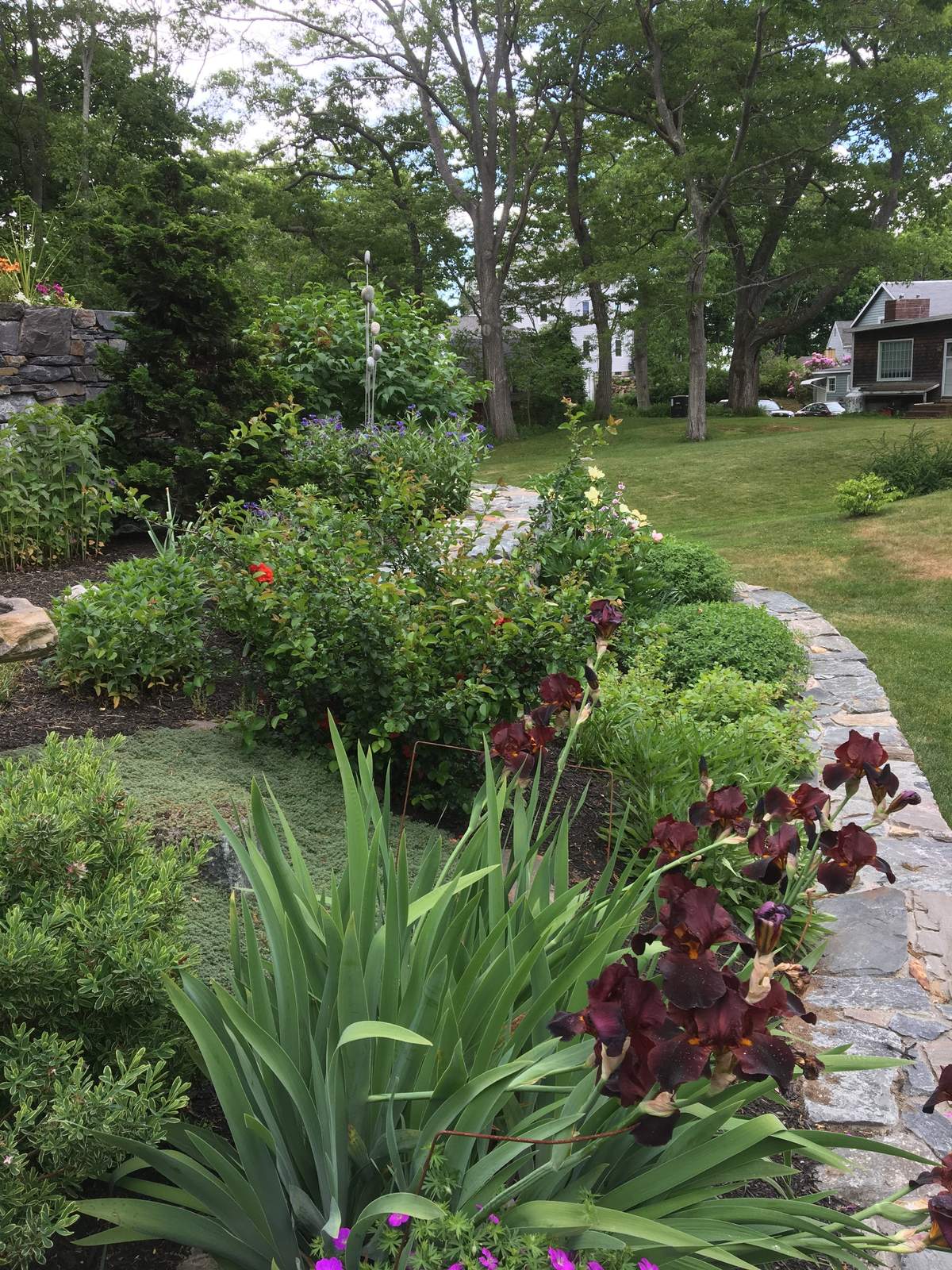 Garden planting bed with mixed shrubs and perennials