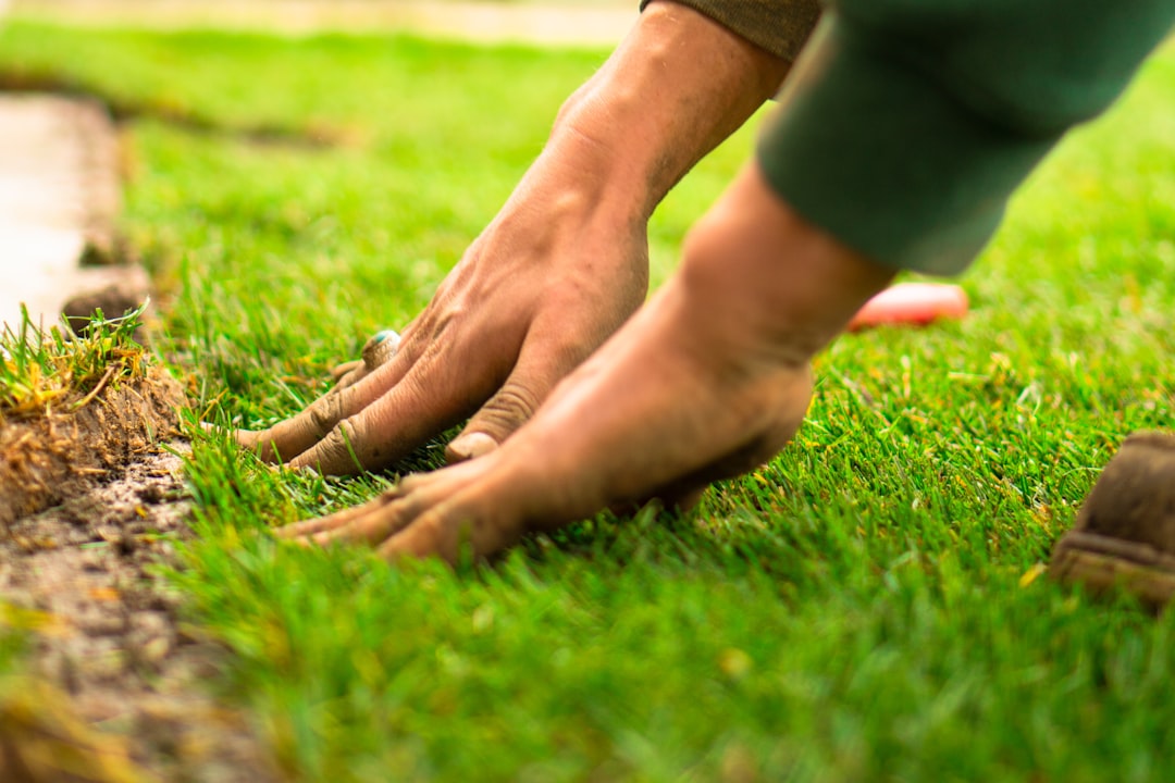 hero-gallery-03 Landscaper laying new lawn during fall.