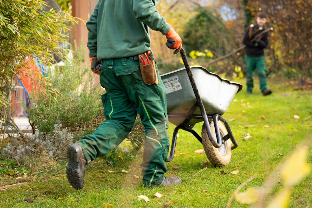 hero-gallery-01 Landscapers cleaning the garden. Person pushing an empty wheelbarrow.