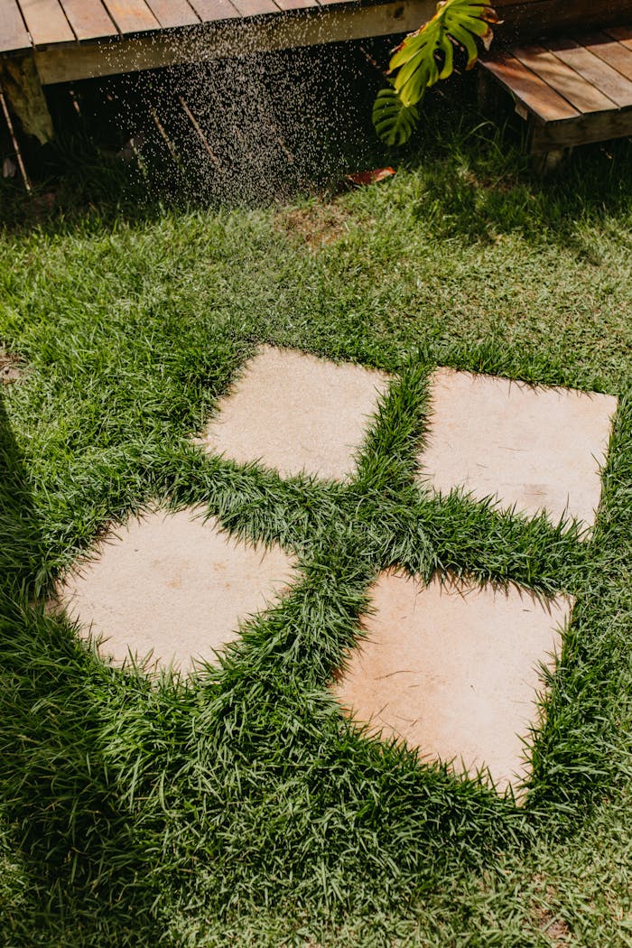 Charming garden patio with stone tiles amidst lush green grass, captured in Bahia, Brazil.